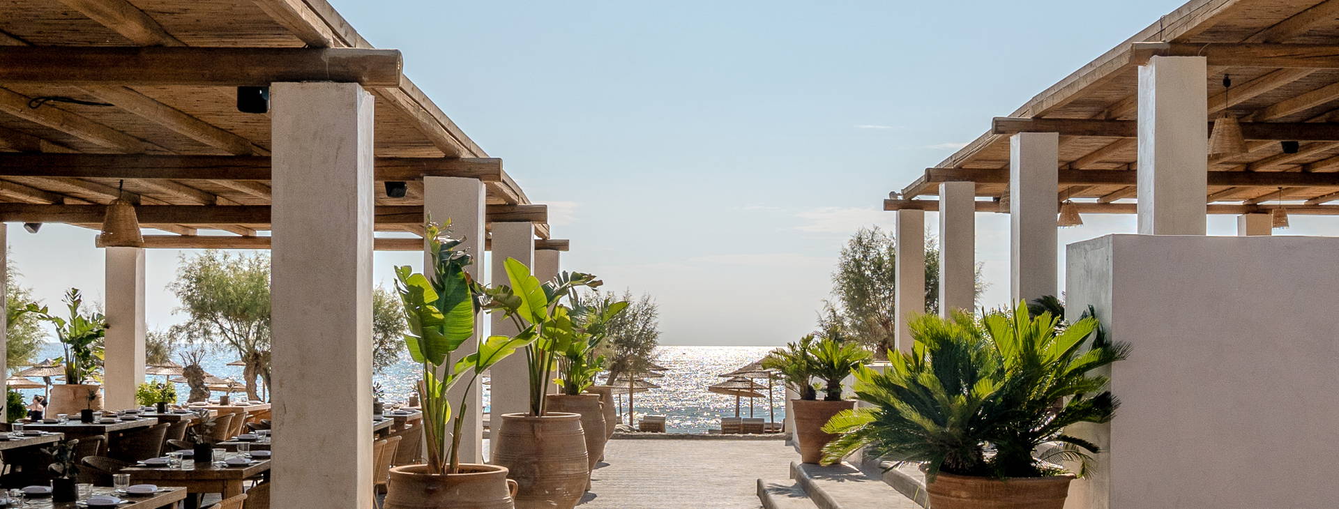 Grecotel Dama Dama Obrázok30