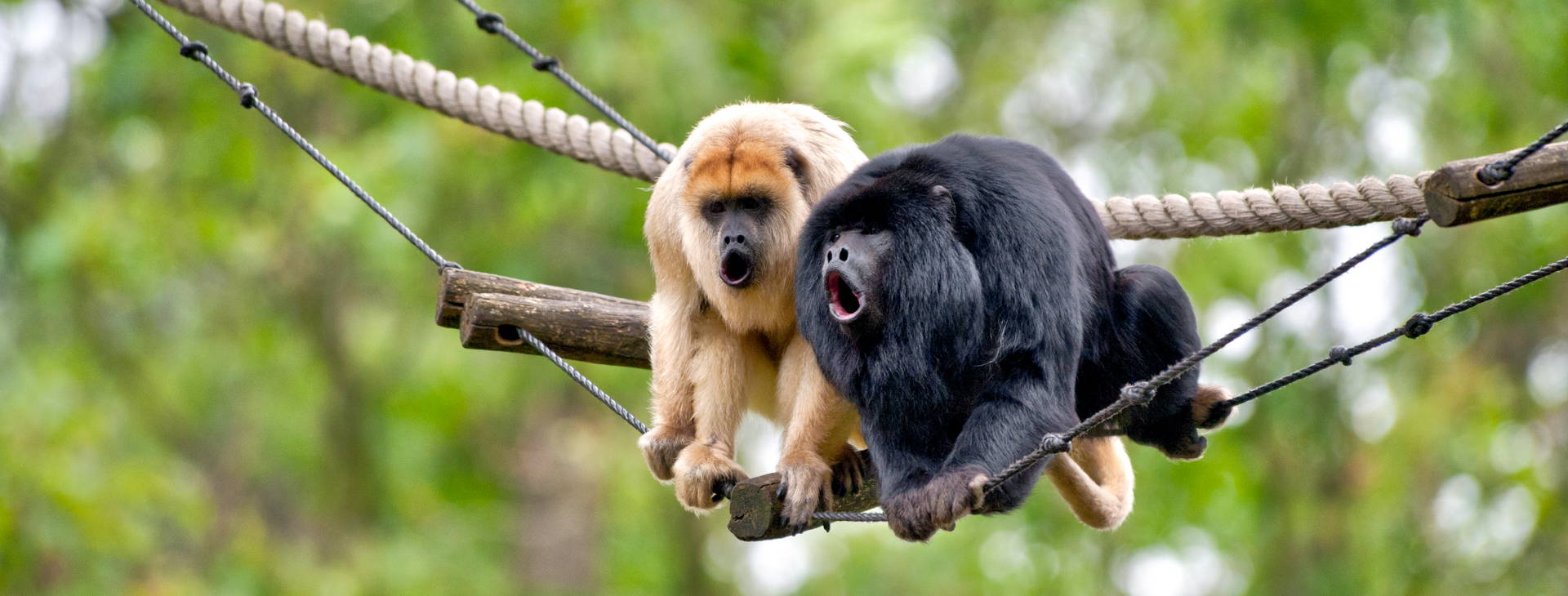 Ubytování KIP Obrázok38