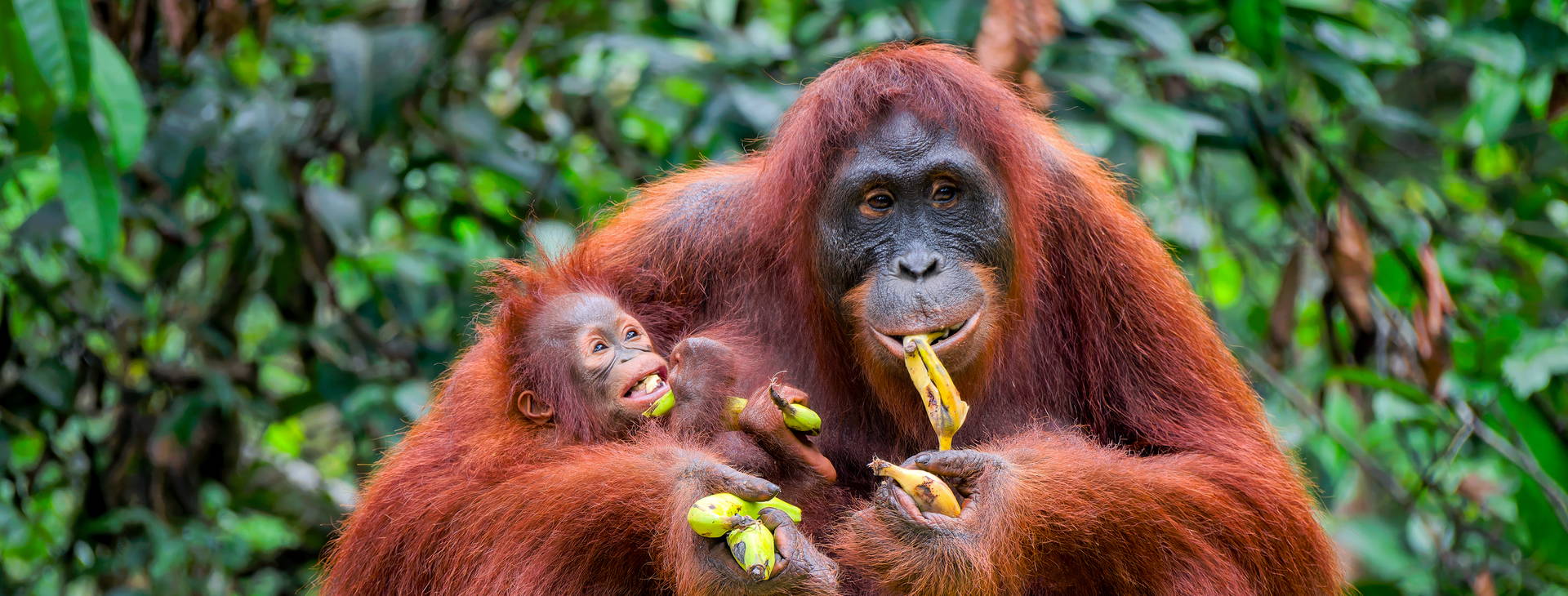 Ubytování SAQ Obrázok4