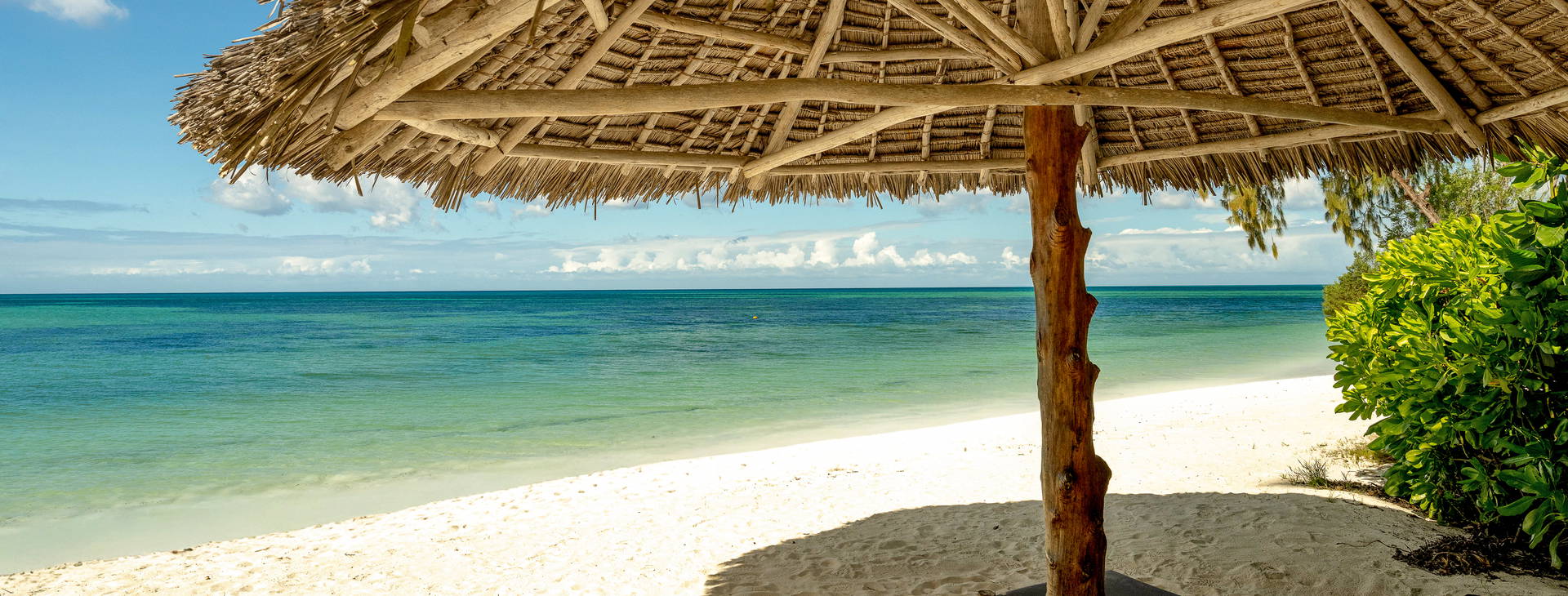 Hotel Pongwe Beach Obrázok8