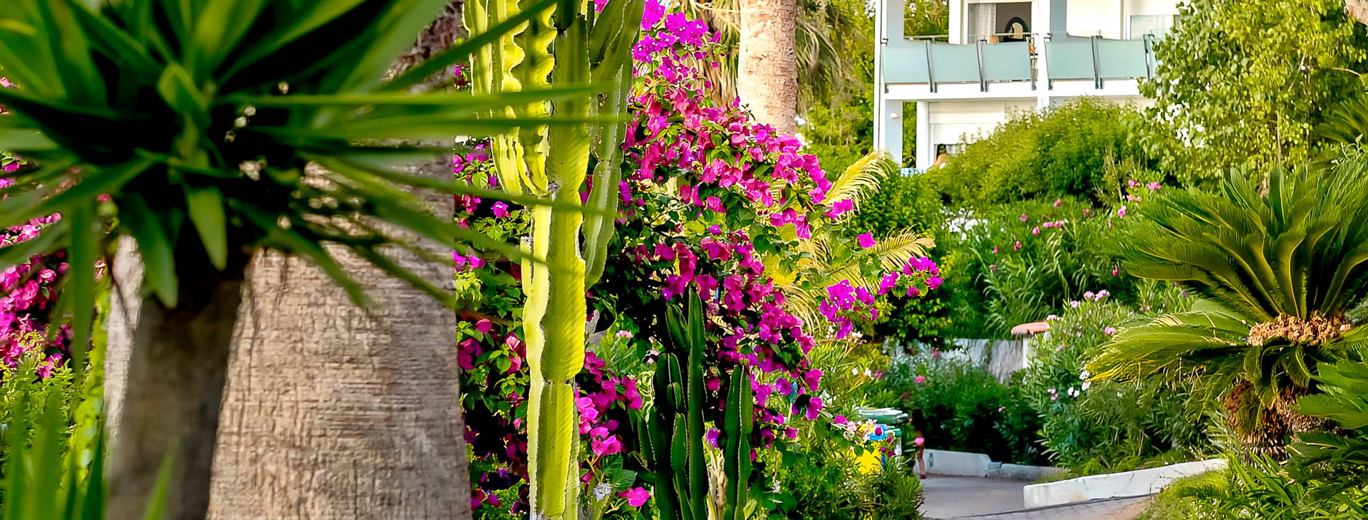 Hotel Villaggio Stromboli Obrázok8
