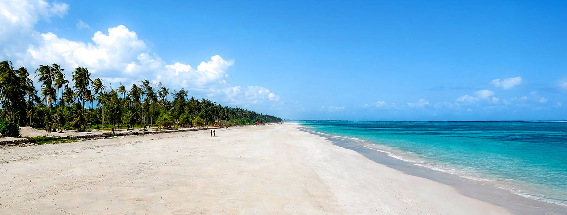 Kappa Senses Zanzibar Obrázok2