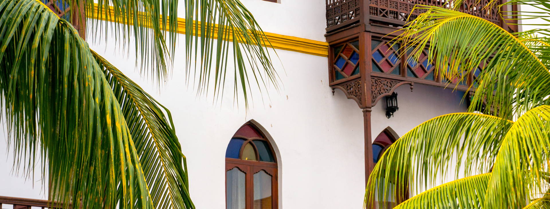 Kappa Senses Zanzibar Obrázok10